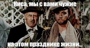 Экосистема обычной лужи во дворе. Целый мир, о котором мы не подозревали