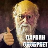 Последние мгновения жизни мужчины, прыгнувшего со скалы на Гавайях