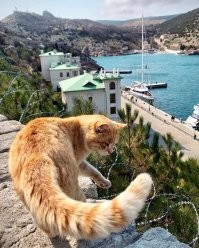 Крым, Балаклава.