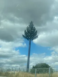 Такое вДагестан надо.Они всё равно тупые. Не догадаются,что это 5G антенна.