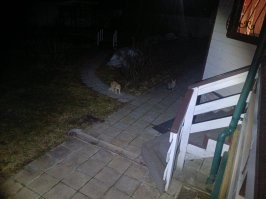 Вот так лёг снег  :)