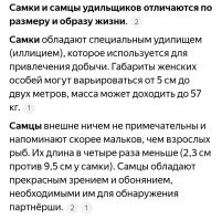 Да... Никто не знал. Точно.