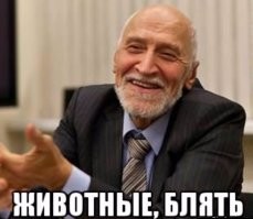 Египетский таксист — ценитель красоты женских ножек