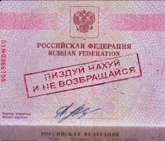 Свадьба со стрельбой в Пушкино для молодоженов завершилась на скамье подсудимых