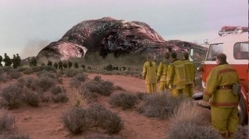 Экосистема обычной лужи во дворе. Целый мир, о котором мы не подозревали