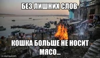 В Индии кошка принесла кусок мяса в храм и спровоцировала крупный скандал