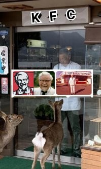 Фото суббота