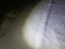 Э... Какие тени? Какое солнце? Пасмурно было. 

Вот, сходил, сфотографировал. 
Сейчас снега больше, но всё равно видно. 
Несколько дней мороз под минус десять градусов. 

Фонариком подсвечивал.