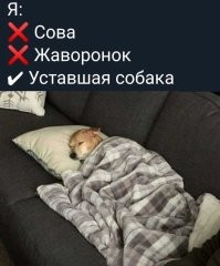 Большая тарелка улыбатора