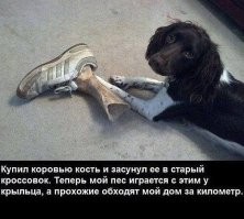 20 занятных и забавных изображений из повседневной жизни