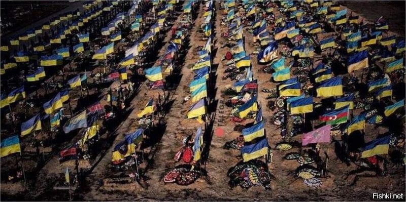 повторили вы, ага