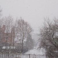 Во первых. Об обильном снегопаде было известно за неделю(!) до события. Во вторых. Дорогу не чистили от слова "вообще". Это отлично видно на фото. Наша зима такая что шипованная резина на наших дорогах только будет уродовать асфальт. Именно поэтому почти по всей Европе шипованная резина под запретом. И подавляющее большинство автомобилистов просто меняют резину на зимнюю. Этого вполне достаточно. Только если дорога нормальная. Не идеальная, а нормальная. И вот тут как раз она НЕ нормальная. Хорошо бы все эти пострадавшие водители подали в суд на дорожников и взгрели их миллионов на несколько. Но это мечты конечно... А дорога реально капец полный. Попыток очистки даже нет. Лично видела в субботу около обеда на весьма оживлённом участке неподалёку от моего дома. Машины с трудом проезжают по сугробам. Дороги нет. Направление. А если бы убирали с начала снегопада, то такого пи..ца не было бы. Вот как  было часа в три на моей улице. Мы разгребались сами, а дорогу никто и не думал.