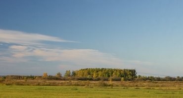 Дизайнерские проекты????? Реально новые разработки, о которых тут написано, придумывают и разрабатывают не дизайнеры, а инженеры, учёные. Дизайнеры лишь придумывают в каком виде продукт или услуга будет продаваться. Однако хочется немного уточнить по поводу двух тут показанных вещей. Вот тут мне кажется как раз дизайнеры и поработали. Во первых люстра с водорослями. КАК водоросли могут очистить воздух, если они находятся в стеклянных колбах???? Если они запечатаны герметично, то что могут очищать? А если там есть отверстия, то со временем вода испарится и её надо будет доливать. И причём воду не из-под крана наверняка. Ну и нах этот гемор??? Наверняка дизайнер придумал. Для вдохновения вдохнув чего то. И второй типа зелёный проект. Стена из мха. Ну пи..ц конечно. Как можно сравнить тенистые деревья с кроной, да ещё и в количестве более 200 штук, занимающие немалую площадь, и которые реально своей листвой собирают пыли и очищают воздух, с этим?! Да, ко мху прилипнет некоторое количество пыли, которая рядом с этим мхом. Всё. То есть немножко пыли на небольшом участке площади. Кусочек мха (вертикального расположения) и роща из почти 300 деревьев. Чтобы вы немного сравнили масштаб. Вот на фото Петровщинская лиственная роща, где как раз почти 300 деревьев. Только дебил может сравнить кусок стены 3 на 4 метра со мхом и такую рощу в деле очистки воздуха.