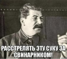 В Ессентуках женщина сорвала плакат, посвящённый Дню Победы, и вытерла об него ноги