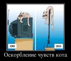Моя киса любила на системнике с верхним расположением блока питания лежать. Он тёплый и мурчит что-то на ухо.