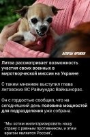 Что там "милитаризировать", с каким "равным противником"? У нас один склад военной техники размером с Литву.