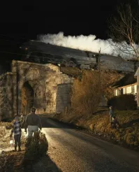жить в пяти метрах от жд... видимо владельцы дома не выбирали.