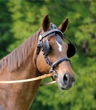 10 инновационных дизайнерских и технологических проектов