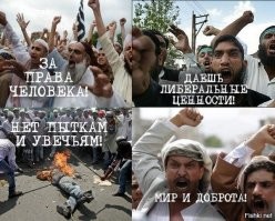 «Тянет на разжигание межнациональной розни»: российский чиновник потребовал проверить первого зампреда Духовного управления мусульман