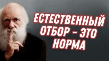 "Ой дебил, там вообще вода"