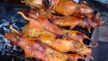 Так их, во времена конкистадоров, считали рыбой.