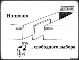 Политический мониторинг (532)