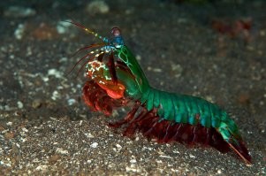 На общую тему&nbsp;