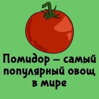 А помидор давно стал овощем?
