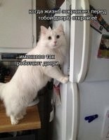 Не ищите здесь смысл. Здесь в основном маразм