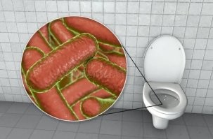 В Индии стартовал Великий Кумбха Мела — грандиозный религиозный фестиваль, который проводится раз в 144 года