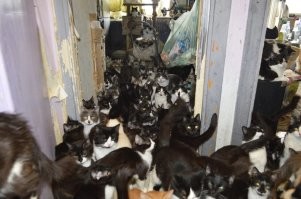 А в реальности!)