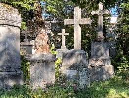 Я думал, что встреча с богом, это нечто иное, чем диалоги о Мизулиной...