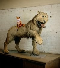 Обитатель замка Грипсхольм – лев и мем