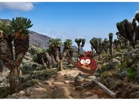 На общую тему&nbsp;