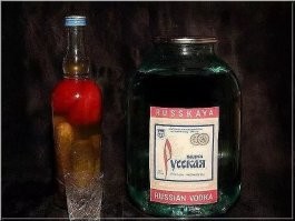 купил сегодня пикадор упаковку. лучше так