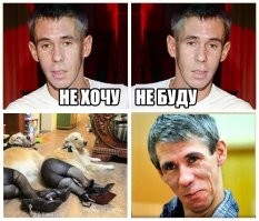 Нейрофильтр превратил домашних животных в человекоподобных существ