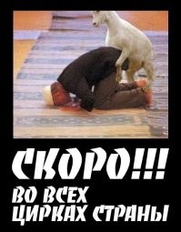В Москве мигрант устроил намаз в цирке Никулина