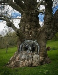 И правда, тут природе явно кто-то помог.