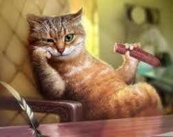 Вот кот под салями!