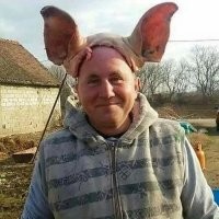 И кормить каждый день салом и свининой.  Да и натянуть ему на ипало