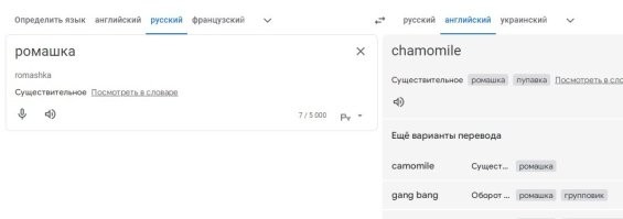 обычный переводчик. 
Фраза "устроили тут ромашку" обретает новые оттенки.