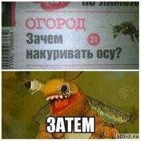 Всё вразнобой&nbsp;