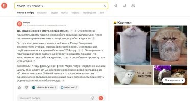 Кошки - это жидкость.