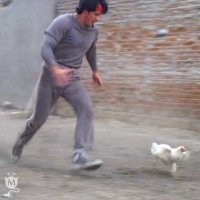 Скрины из соцсетей&nbsp;&nbsp;&nbsp;&nbsp;&nbsp;&nbsp;&nbsp;&nbsp;&nbsp;&nbsp;&nbsp;&nbsp;