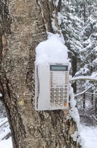 Гулял в лесу в Подмосковье в Егорьевском районе, в глуши такой артефакт встретил. Там раздвоение тропинки - видимо, как ориентир повесили.