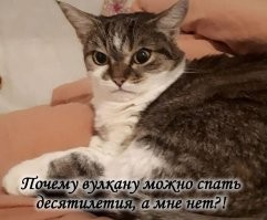 Не ищите здесь смысл. Здесь в основном маразм