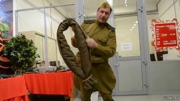 Всё для котиков