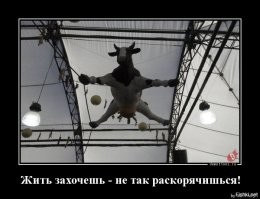 Новости на разные темы