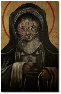 Кошка-авантюристка получила пожизненный бесплатный проезд после самостоятельного путешествия на поезде