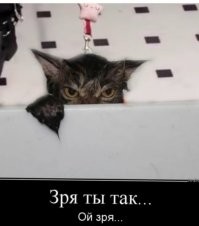 Девушка обезопасила свою еду от кошки